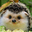 Small avatar