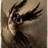 Medium 10204