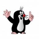 12564