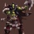 Medium 2460