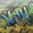 Medium 383