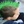 Thumb 2201