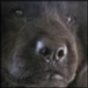 1098