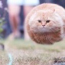 6852
