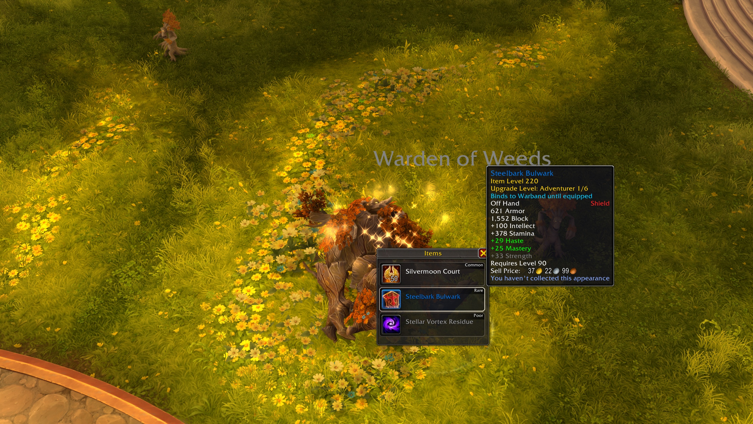 Из редких мобов в Midnight теперь выпадает доспех, до востребования попечителем отряда