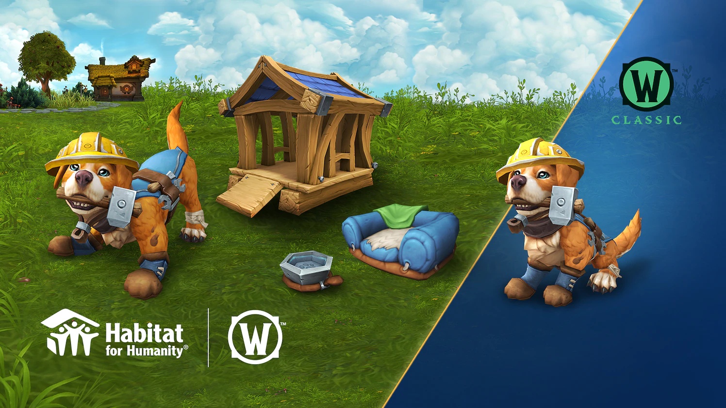 Последний шанс купить питомца Руфуса и поддержать Habitat for Humanity