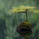 Мой блог для Вас!