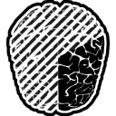 Треть мозга