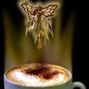 92a9955f920f463c1ce6653bb0ddab31