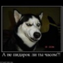 Вирг