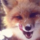 Вреднаялиса